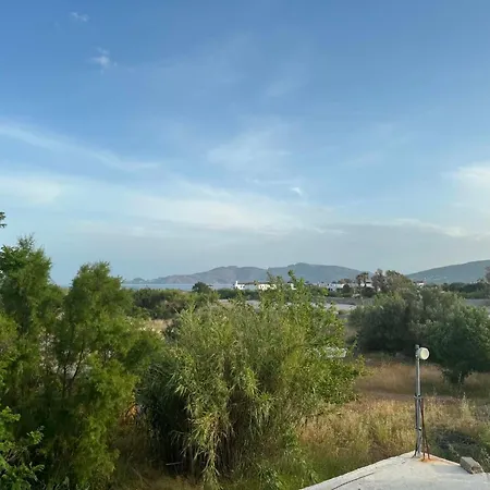 Zografos 2 *